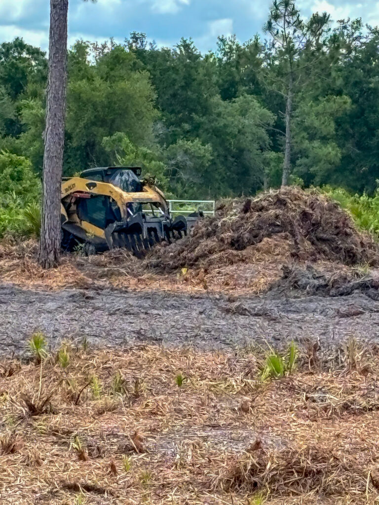 Excavator clearing brush on Florida construction site
