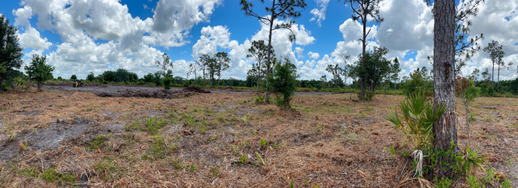 landclearing