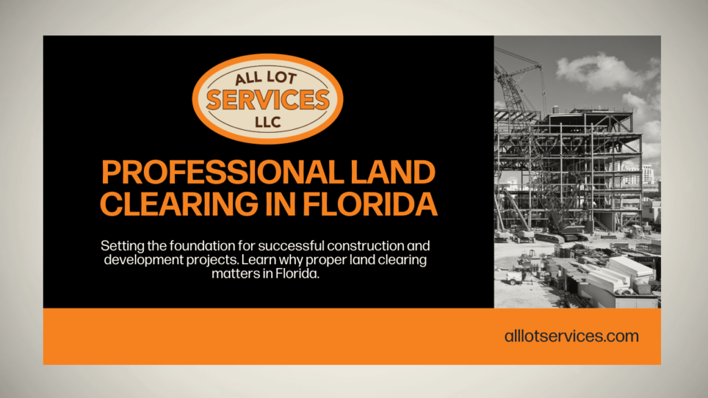 Professional Land Clearing in Florida