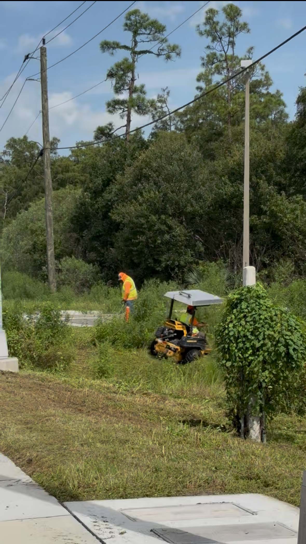 Commercial Landscaping Charlotte County Punta Gorda-gorda_05 Commercial Landscaping Charlotte County Punta Gorda