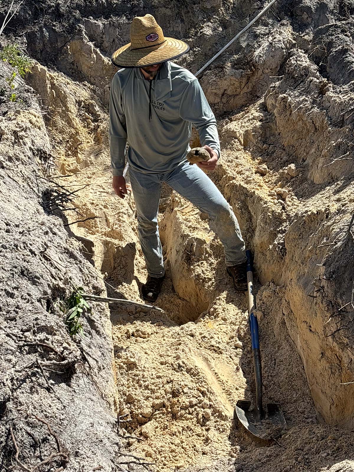 Licensed Gopher Tortoise Removal Relocation Punta Gorda Charlotte Country