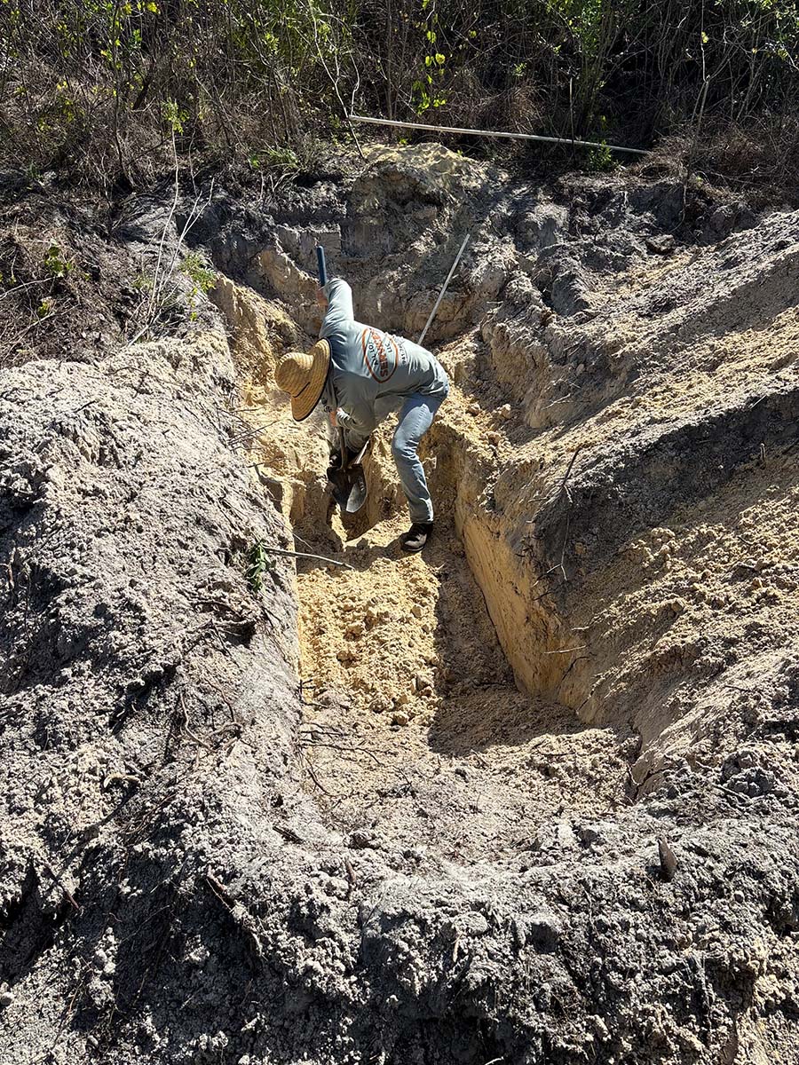 Licensed Gopher Tortoise Removal Relocation Punta Gorda Charlotte Country