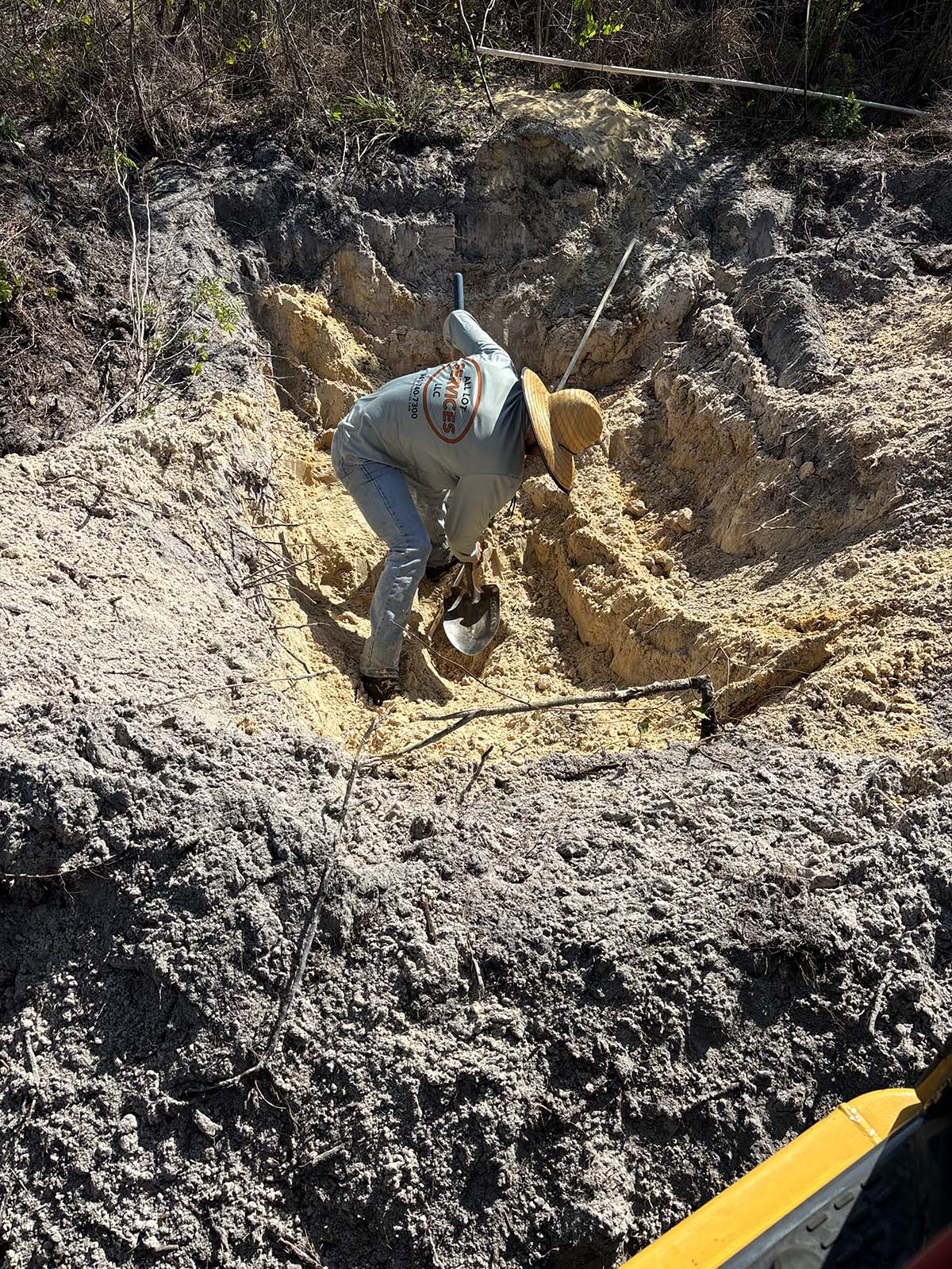 Licensed Gopher Tortoise Removal Relocation Punta Gorda Charlotte Country